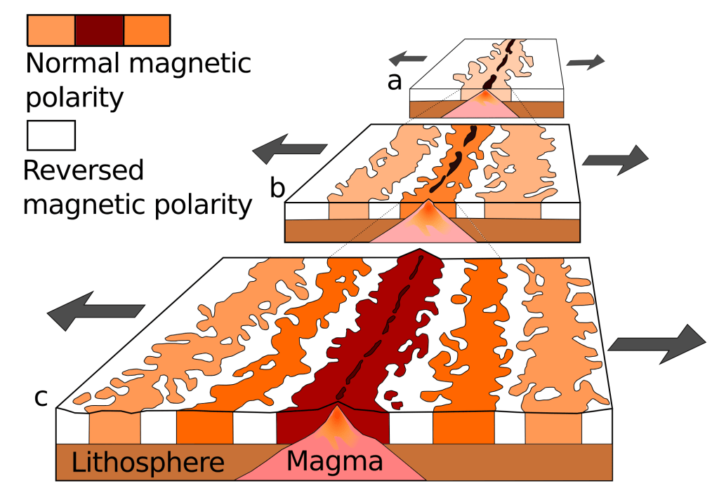 A theoretical model of the formation of magnetic striping. New oceanic crust forming continuously at the crest of the mid-ocean ridge cools and becomes increasingly older as it moves away from the ridge crest with seafloor spreading
